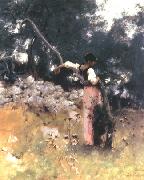 John Singer Sargent Portrait of Rosina oil painting
